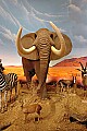 DSC_7496 african elephant.jpg
