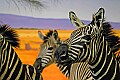 DSC_7527 zebras.jpg