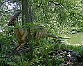 _MG_2284 dynasaur and nest.jpg