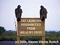 Florida327 vultures on sign.jpg