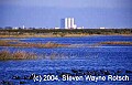 Florida536 coots with NASA tower.jpg