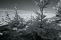 _MG_3538 Spruce Knob National Recreation Area overlook.jpg