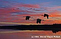 DSC_6955 sandhill cranes and sunset - bosque.psd
