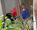 _MG_9864 chimpanzee-who's in the cage.jpg
