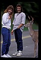 10065-00178-Whitetail Deer.jpg