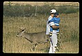 10065-00296-Whitetail Deer.jpg