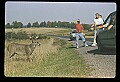 10065-00298-Whitetail Deer.jpg