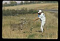 10065-00299-Whitetail Deer.jpg