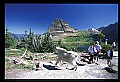 10076-00024-Mountain Goat, Oreamnos americanus.jpg