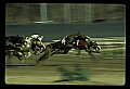 10089-00001-Grayhound Racing.jpg