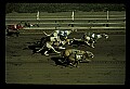 10089-00005-Grayhound Racing.jpg