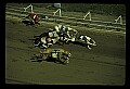 10089-00007-Grayhound Racing.jpg