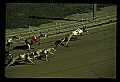 10089-00009-Grayhound Racing.jpg