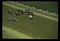 10089-00013-Grayhound Racing.jpg