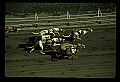 10089-00014-Grayhound Racing.jpg