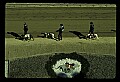 10089-00016-Grayhound Racing.jpg