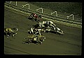 10089-00017-Grayhound Racing.jpg