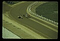 10089-00027-Grayhound Racing.jpg