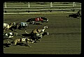 10089-00029-Grayhound Racing.jpg