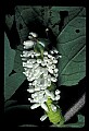 10200-00019-Caterpillars, Worms.jpg