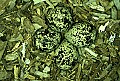 1-6-07-00211 killdeer eggs in nest.jpg