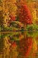 DSC_0591 plum orchard lake-fall color reflection.jpg