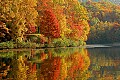 DSC_0605 plum orchard lake--fall color.jpg