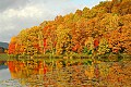 DSC_0678 fall color plum orchard lake.jpg