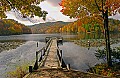 DSC_2719 plum orchard lake fall color.jpg