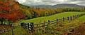 DSC_4446 fence and fall color  8.3x20.jpg