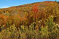DSC_8657 fall color highland scenic highway.jpg