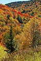 DSC_8669 fall color highland scenic highway.jpg