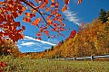 DSC_8687 fall color highland scenic highway.jpg