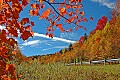 DSC_8692 fall color highland scenic highway.jpg