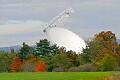 _MG_3300 radio telescope.jpg