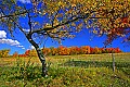 _MG_1584 canaan valley fall color.jpg