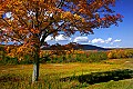 _MG_1706 canaan valley fall color.jpg