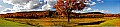 Canaan Valley Panorama 3 10-9-06 36x8.jpg