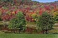 _MG_9254 fall color canaan valley.jpg