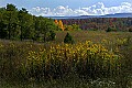 _MG_9422 fall color canaan valley.jpg