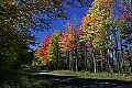 _MG_9435 fall color canaan valley.jpg