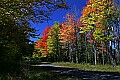 _MG_9440 tucker county fall color.jpg