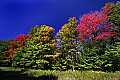 _MG_9461 tucker county fall color.jpg