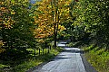 _MG_9666 fall color canaan valley.jpg