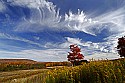 _MG_1774 canaan valley state park-fall color.jpg