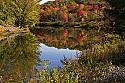 _MG_1988 fall color along the blackwater river near thoma-wv.jpg