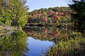 _MG_2009 fall color along the blackwater river near thoma-wv.jpg