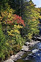 _MG_2139 fall color along the blackwater river.jpg