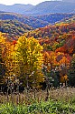 _MG_2596 pocahontas county fall color.jpg