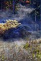 _MG_2751 fog rises through grass on a beaver pond-Babcock State Park.jpg